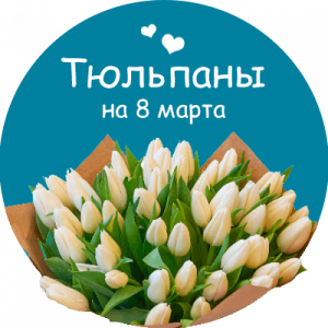 Купить тюльпаны в Соликамске